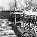 souvenirs en noir et blanc (638)